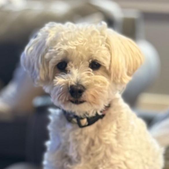 Monday Menu: Nothing but the Hits Edition